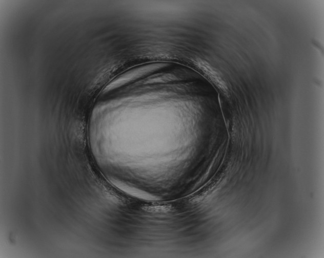 X0000091920449200709191343