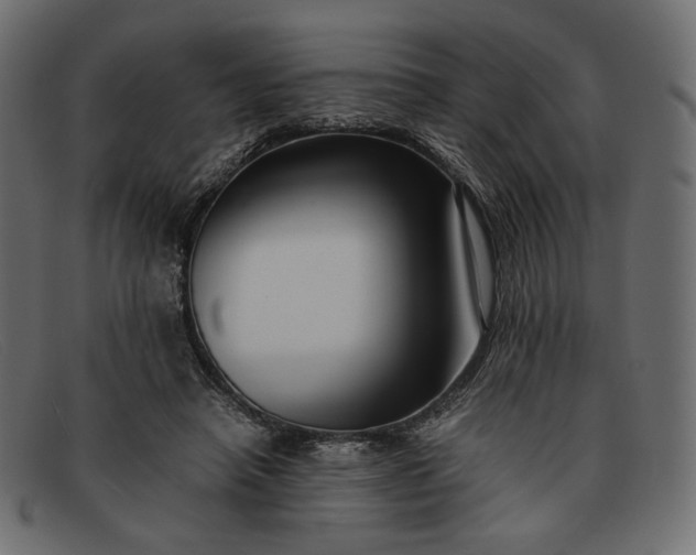 X0000091920450200709191343