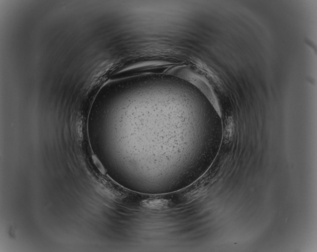 X0000091920452200709191343