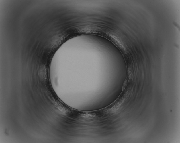 X0000091920453200709191343