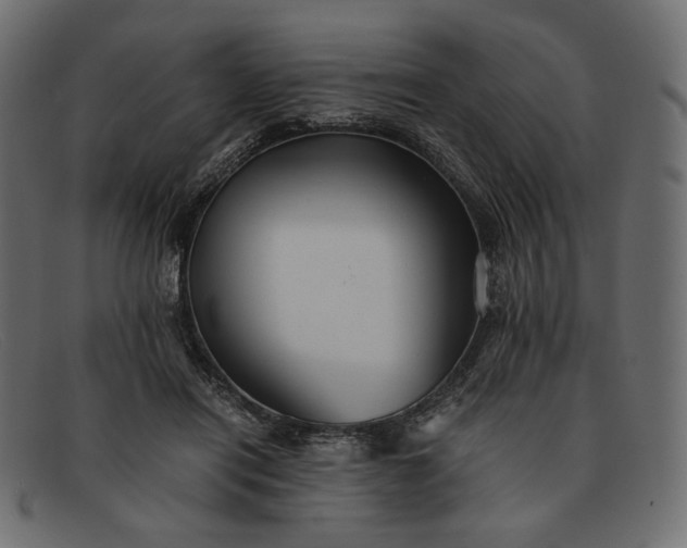 X0000091920454200709191343