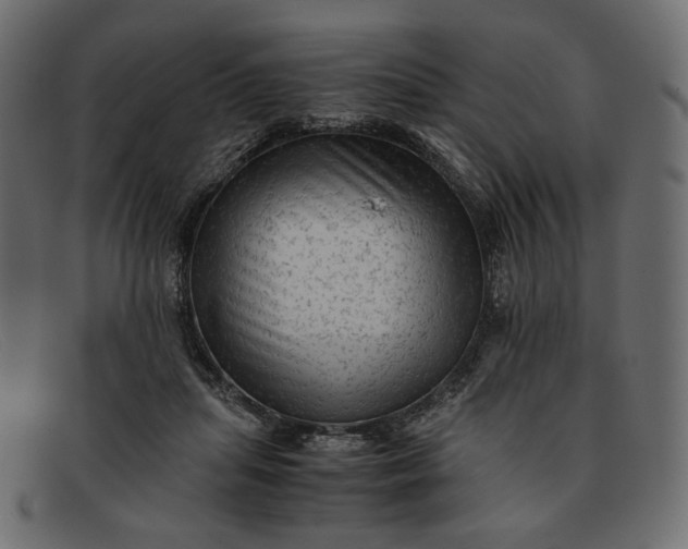 X0000091920455200709191343