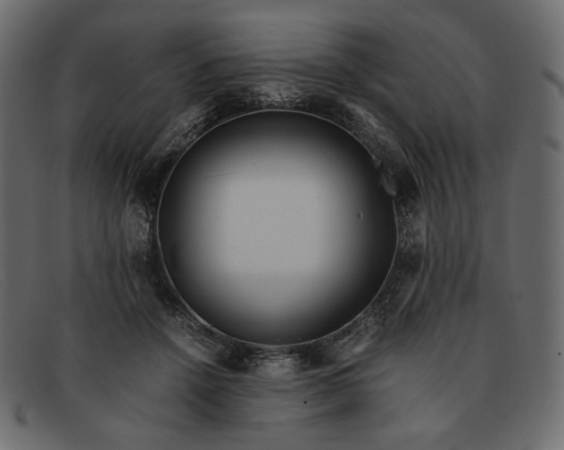 X0000091920456200709191343