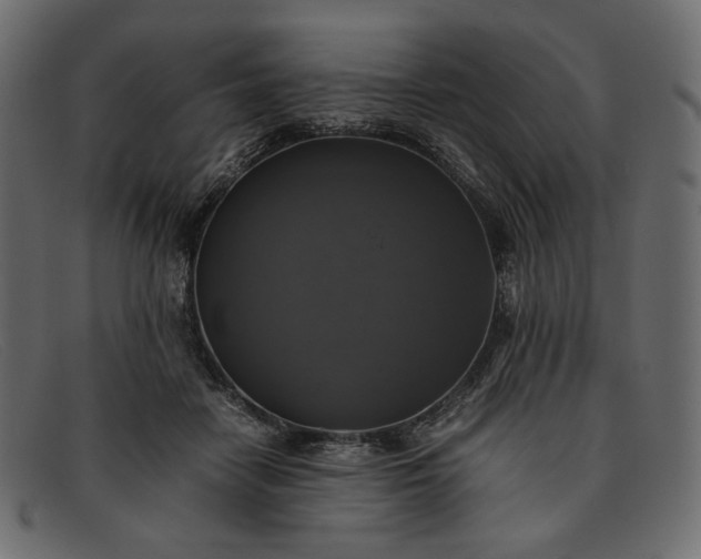 X0000091920458200709191343