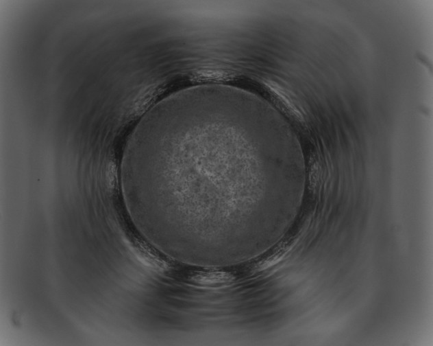 X0000091920459200709191343