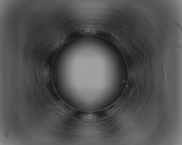 X0000091920460200709191343