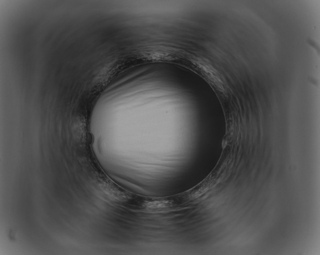 X0000091920461200709191343