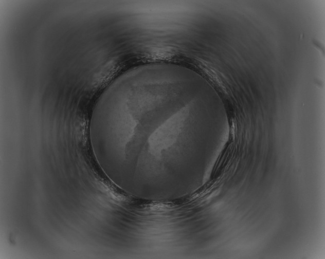 X0000091920462200709191343