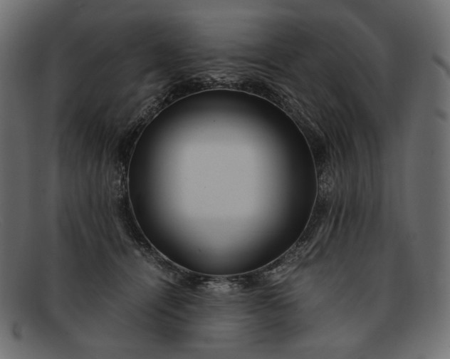 X0000091920464200709191343