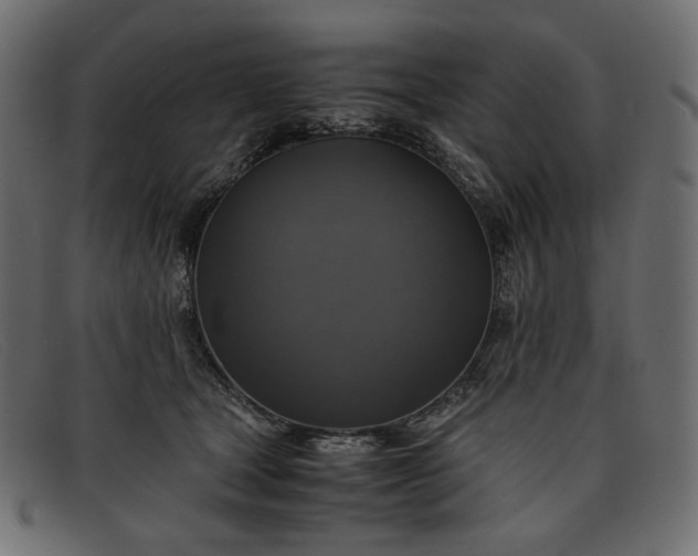 X0000091920465200709191343