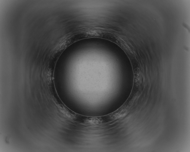 X0000091920466200709191343