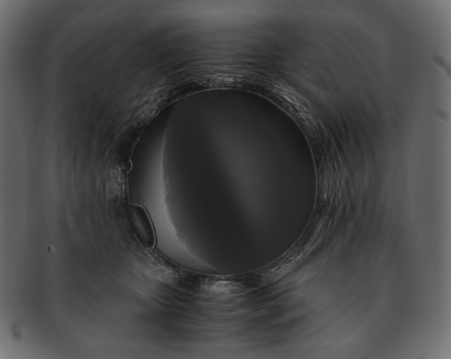 X0000091920467200709191343