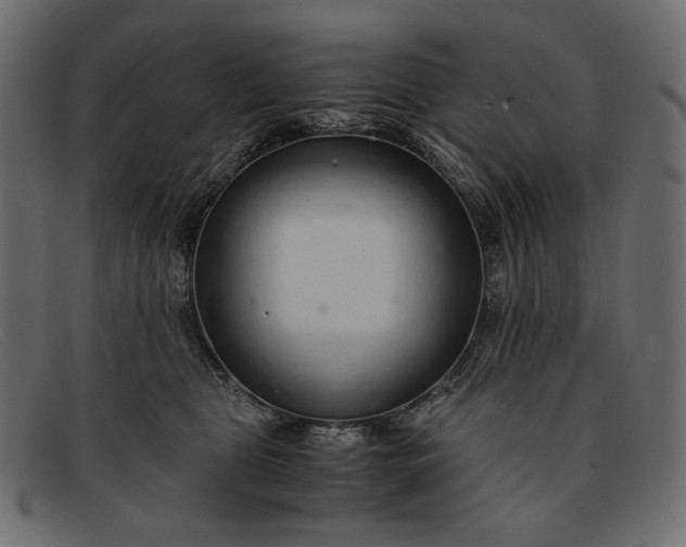 X0000091920469200709191343