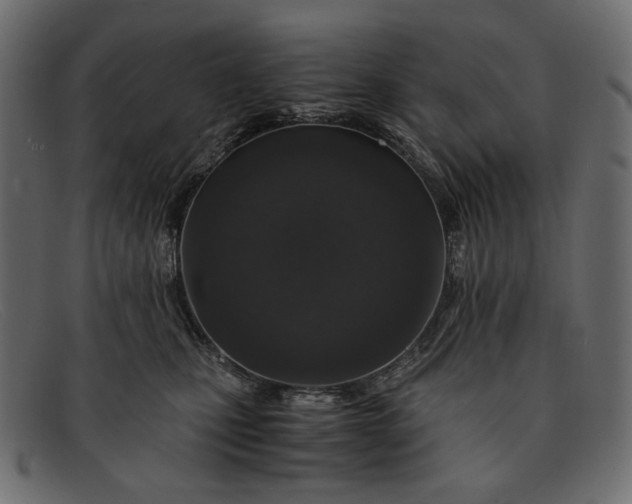 X0000091920471200709191343