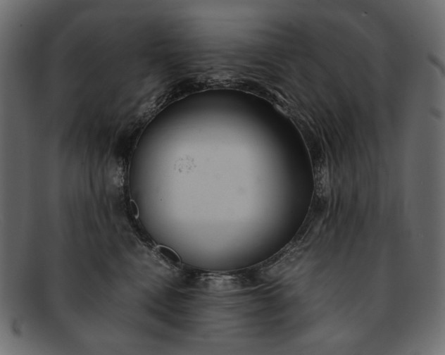 X0000091920472200709191343