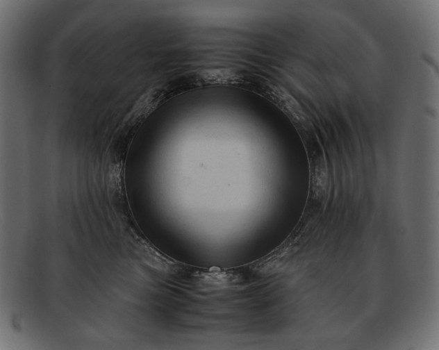 X0000091920473200709191343