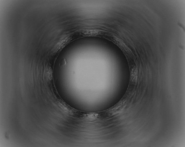 X0000091920474200709191343