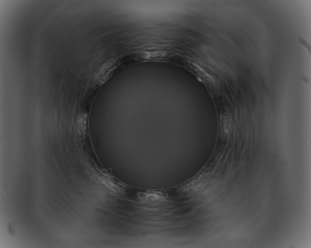 X0000091920475200709191343