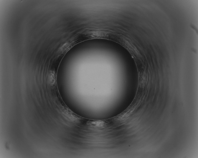 X0000091920478200709191343