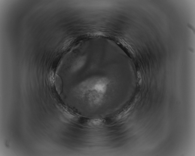 X0000091920479200709191343