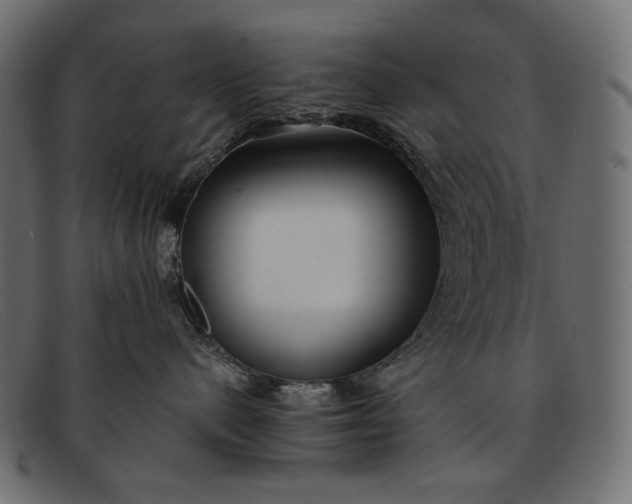 X0000091920480200709191343