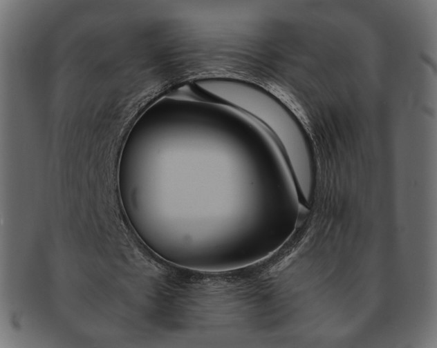 X0000091920481200709191342