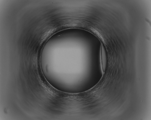 X0000091920482200709191342