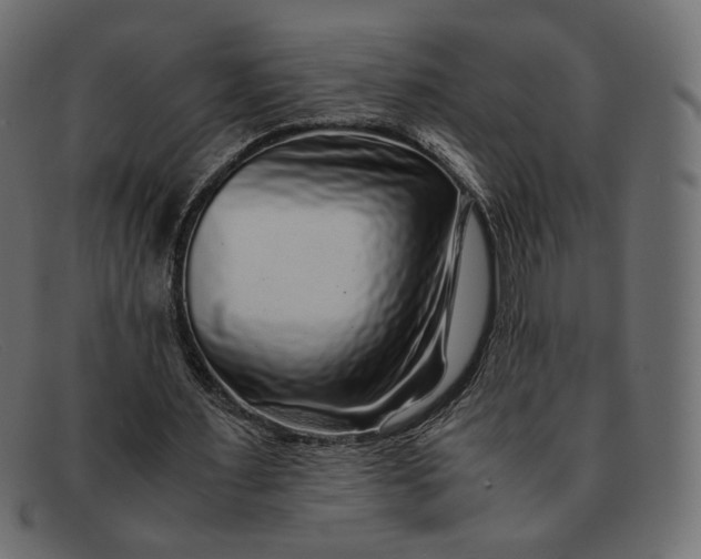 X0000091920483200709191342