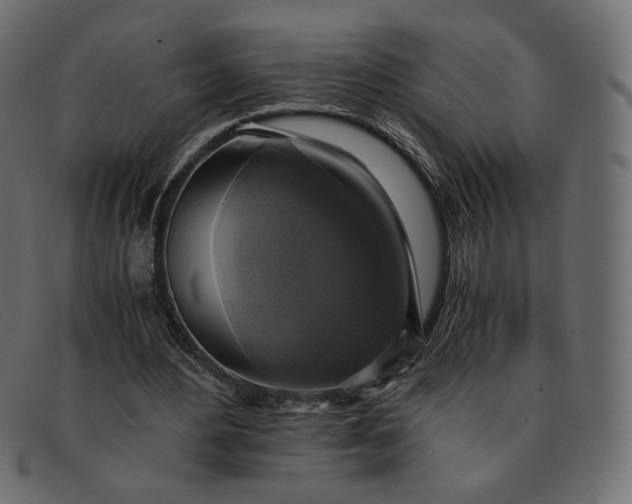 X0000091920484200709191342