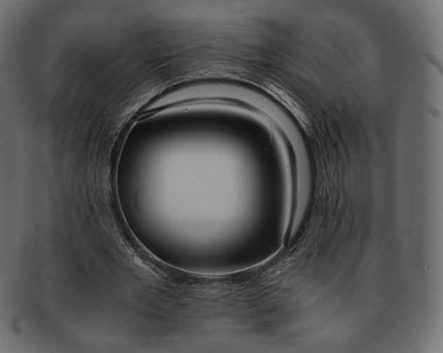 X0000091920485200709191342