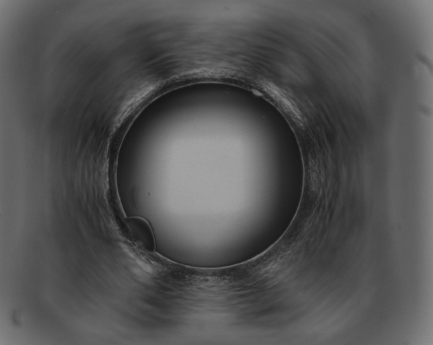 X0000091920486200709191342