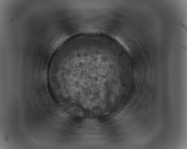 X0000091920487200709191342