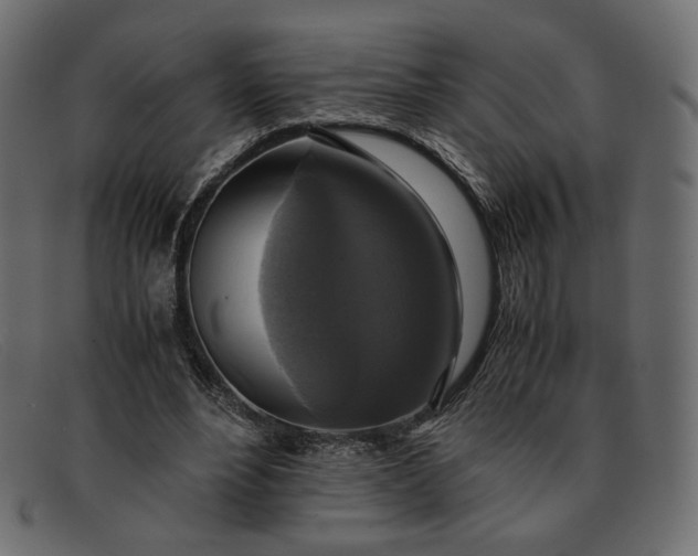 X0000091920488200709191342