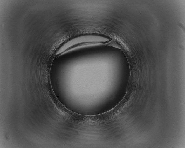 X0000091920489200709191342