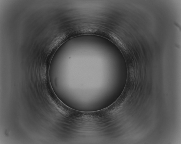 X0000091920490200709191342