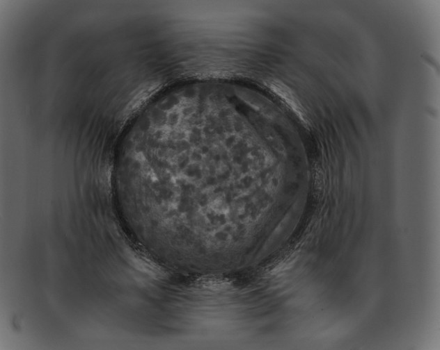 X0000091920491200709191342