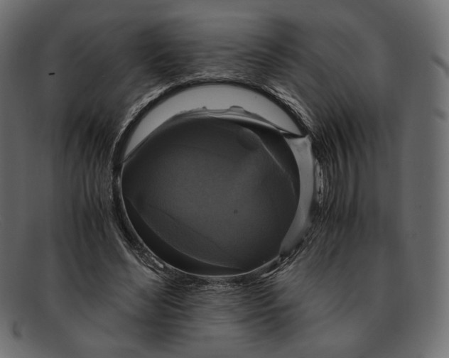 X0000091920492200709191342