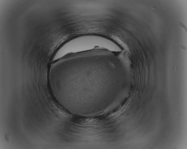 X0000091920493200709191342