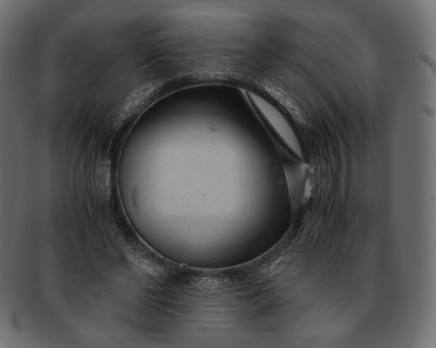 X0000091920494200709191342