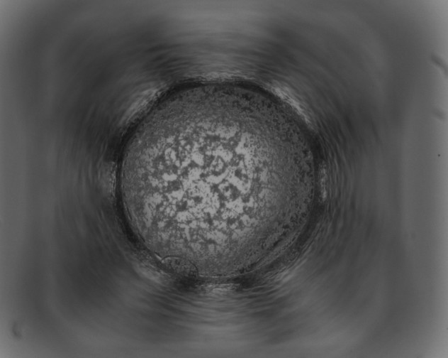 X0000091920495200709191342