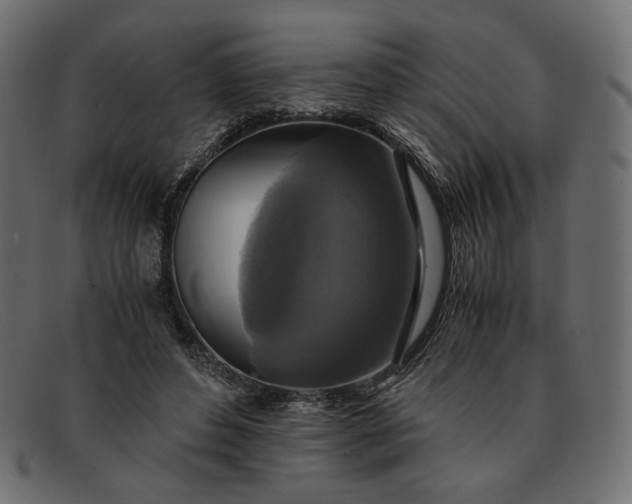 X0000091920496200709191342