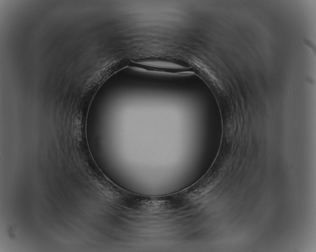 X0000091920497200709191342