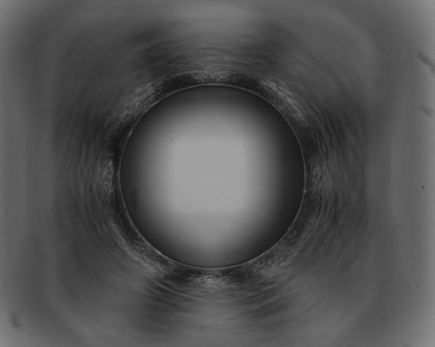 X0000091920498200709191342