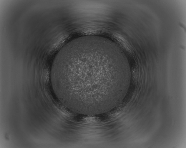 X0000091920499200709191342