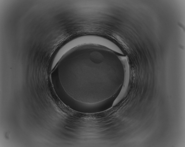 X0000091920500200709191342