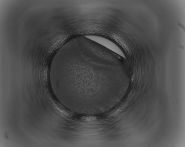 X0000091920501200709191342