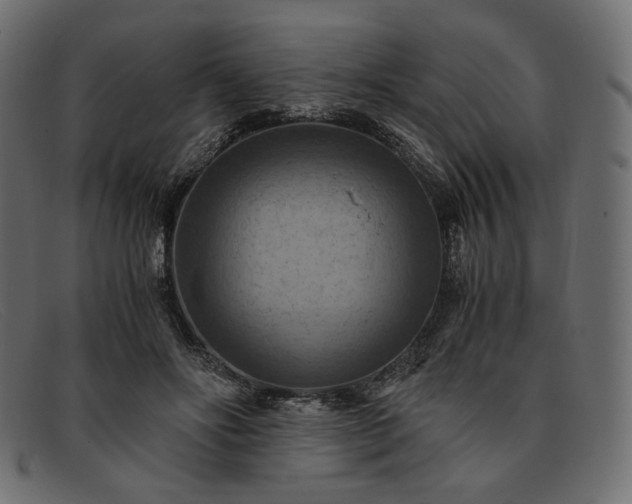 X0000091920502200709191342