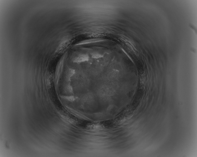 X0000091920503200709191342