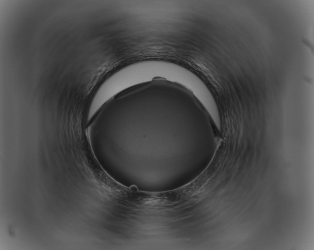 X0000091920504200709191342