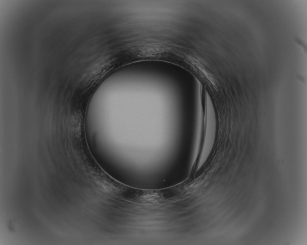 X0000091920505200709191342